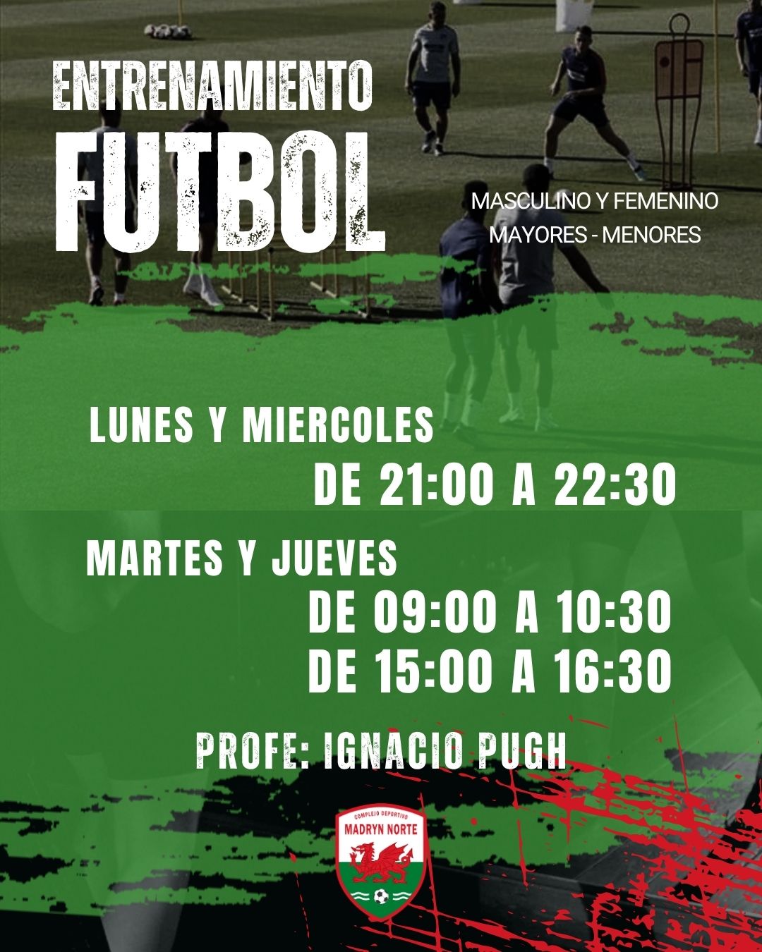 Actividades Deportivas
