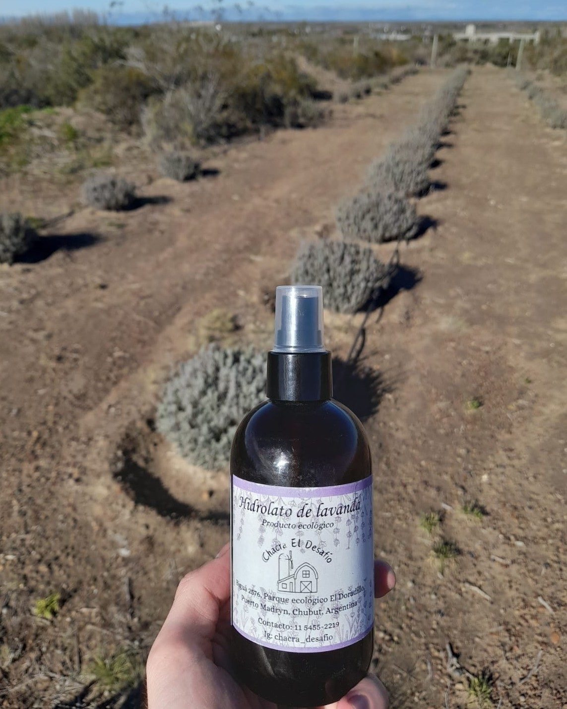 Hidrolato de lavanda 250ml